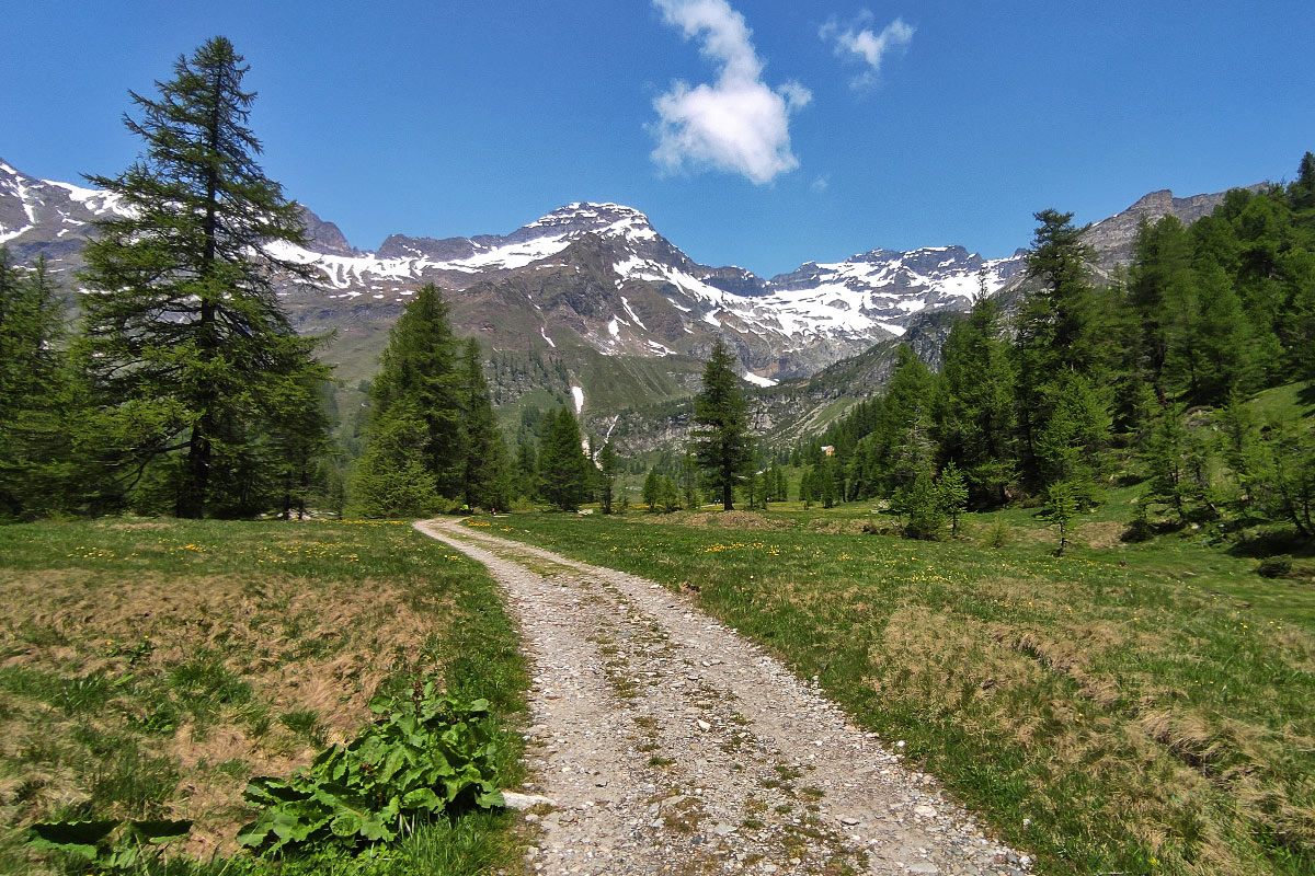 Alpe Veglia