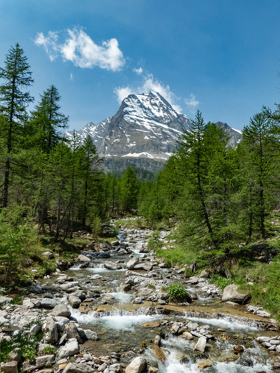 Il Monte Leone visto dal Veglia