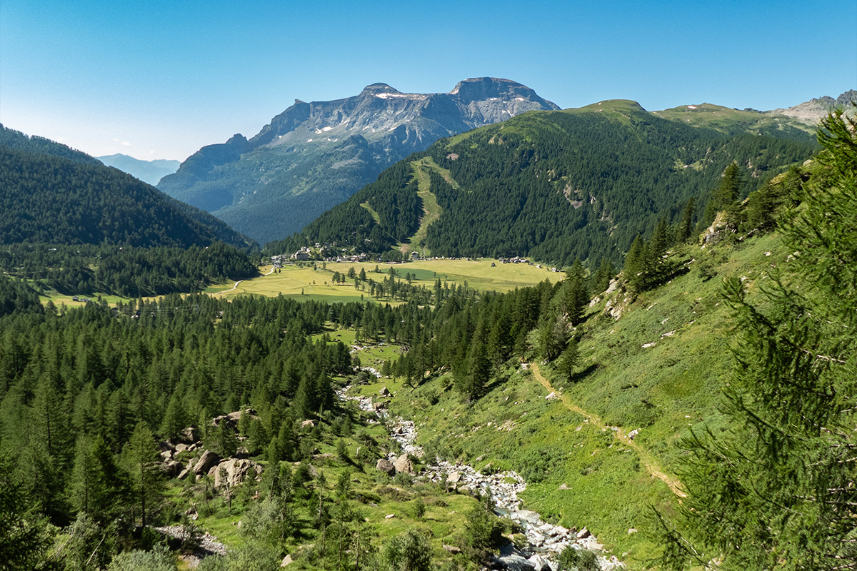 La Piana del Devero vista dai Piani della Rossa 
