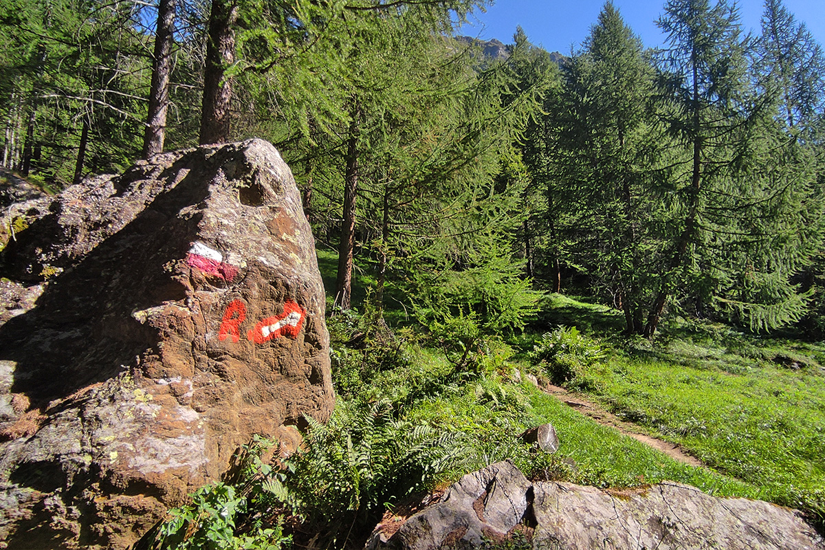 Trekking ai Piani della Rossa - Alpe Devero