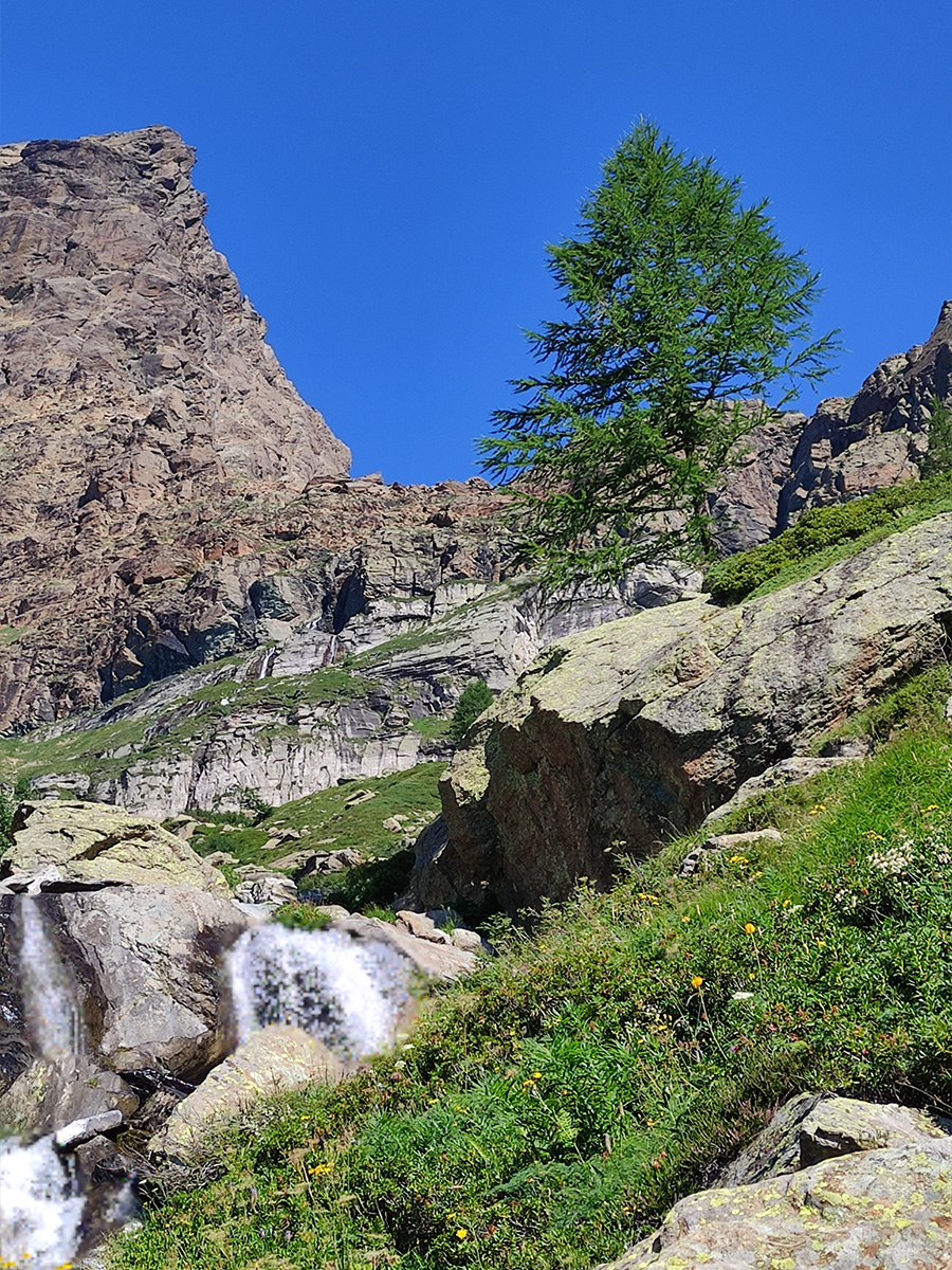 Trekking ai Piani della Rossa - Alpe Devero