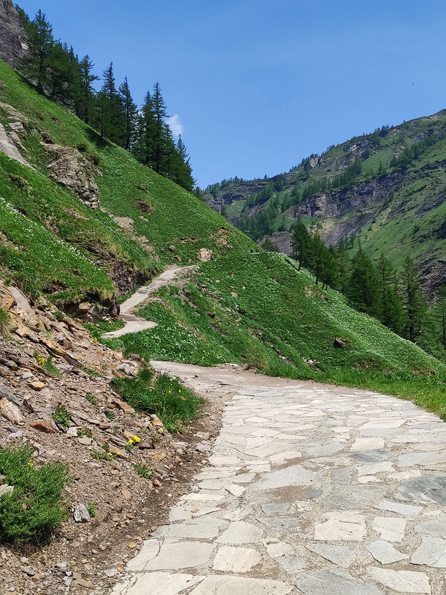 Trekking lago Bianco - Alpe Veglia