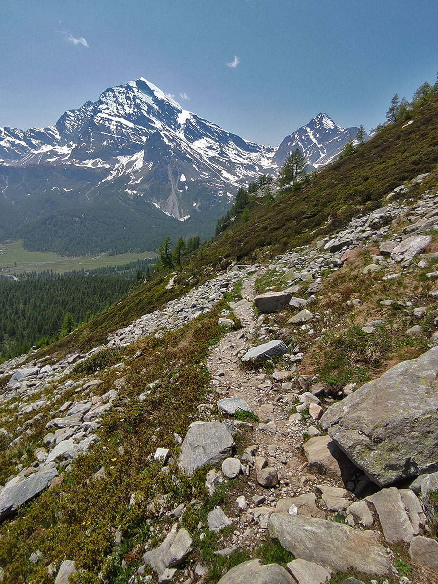 Il Monte Leone visto dal Veglia